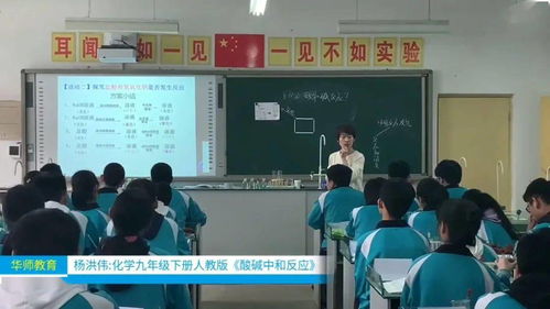 華師公益直播回顧 品牌教師精品課展示 化學九年級下冊人教版 酸堿中和反應
