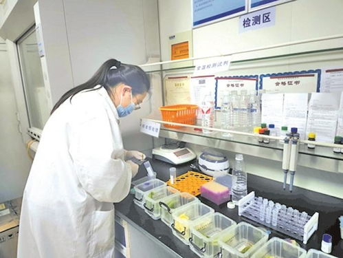 無錫快檢 小窗口 守護(hù) 菜籃子 為民辦實(shí)事項(xiàng)目提前完成上半年目標(biāo)