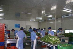 圖 廣州蔬菜配送食材配送工廠食堂承包同城飲食服務公司 廣州生活配送