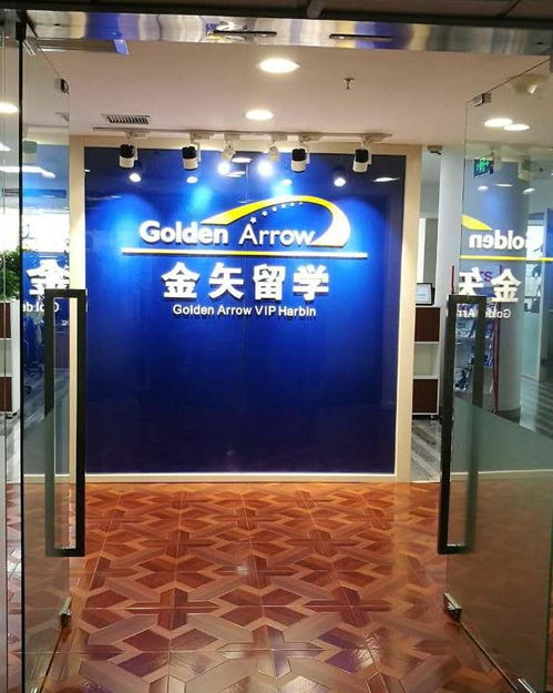 北京金矢教育信息咨詢哈爾濱分公司