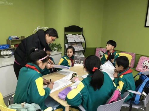 河南教育改革新信號 寒暑假或面臨調(diào)整，教師心聲待關注